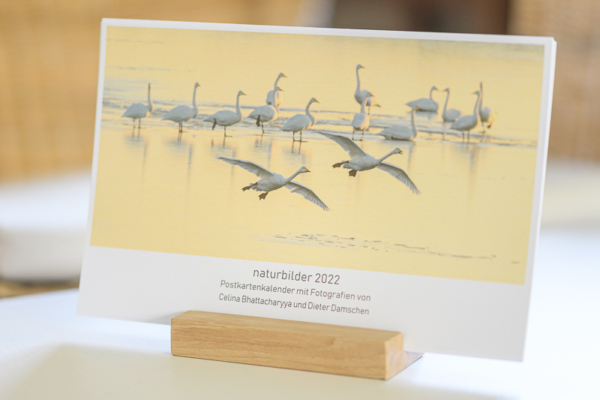 naturbilder 2022 - Postkartenkalender – Bild 16