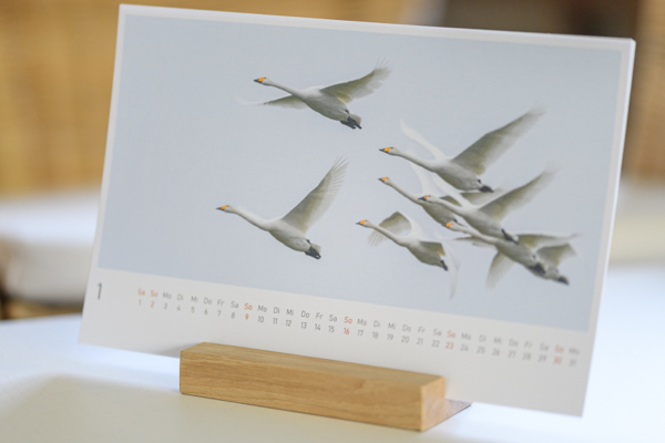 naturbilder 2022 - Postkartenkalender – Bild 17