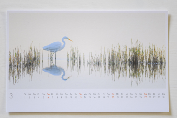 naturbilder 2022 - Postkartenkalender – Bild 19
