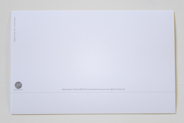naturbilder 2022 - Postkartenkalender – Bild 20