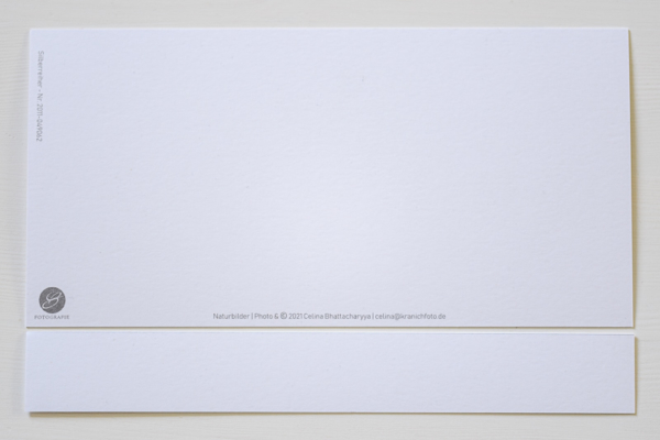 naturbilder 2022 - Postkartenkalender – Bild 21