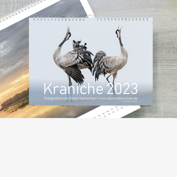 Kalender