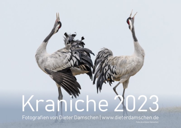 Kraniche 2023 - DIN A4 – Bild 2