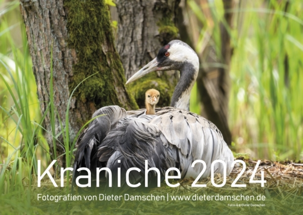 Kraniche 2024 - DIN A4 – Bild 2