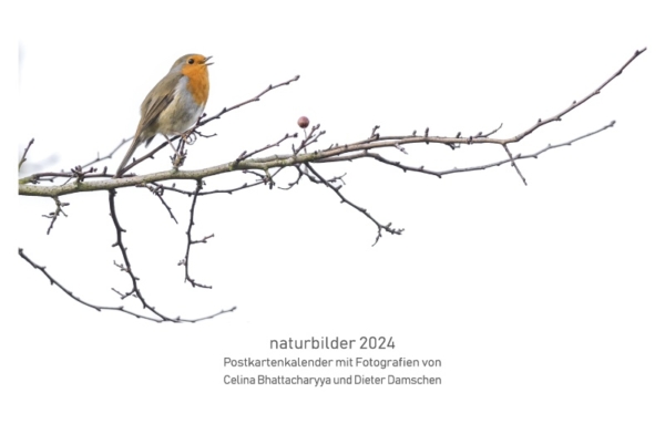 naturbilder 2024 - Postkartenkalender mit Fuß – Bild 2