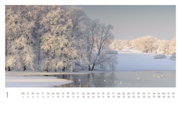 naturbilder 2024 - Postkartenkalender mit Fuß – Bild 3
