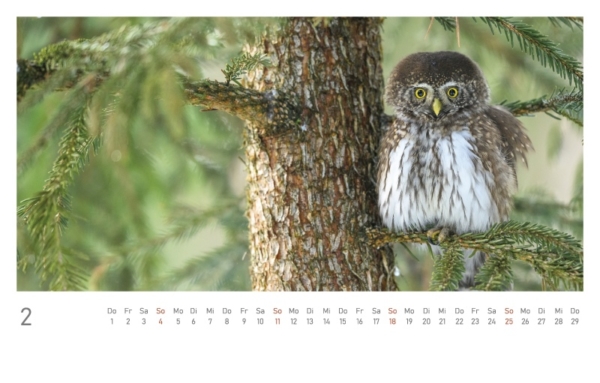 naturbilder 2024 - Postkartenkalender mit Fuß – Bild 4