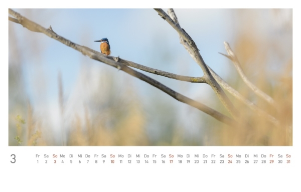 naturbilder 2024 - Postkartenkalender mit Fuß – Bild 5