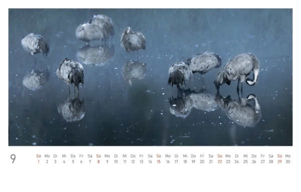 naturbilder 2024 - Postkartenkalender mit Fuß – Bild 11