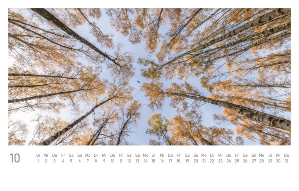 naturbilder 2024 - Postkartenkalender mit Fuß – Bild 12