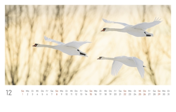 naturbilder 2024 - Postkartenkalender mit Fuß – Bild 14