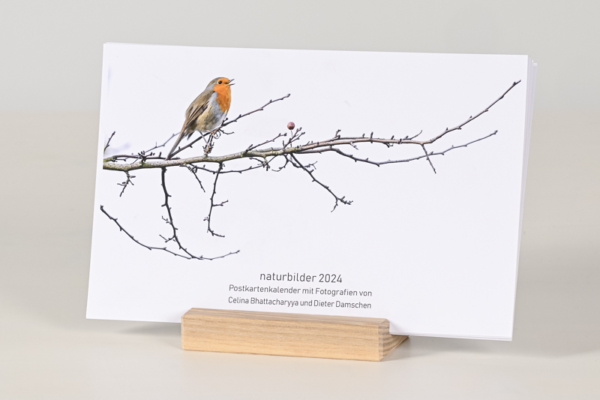 naturbilder 2024 - Postkartenkalender mit Fuß – Bild 15