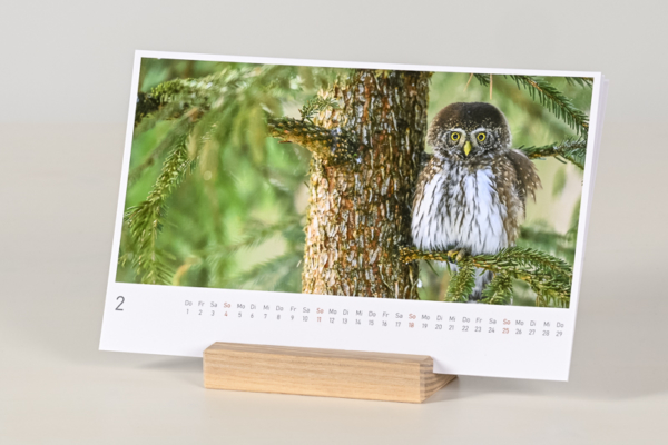 naturbilder 2024 - Postkartenkalender mit Fuß – Bild 16