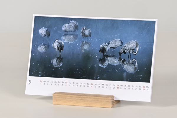 naturbilder 2024 - Postkartenkalender mit Fuß – Bild 17