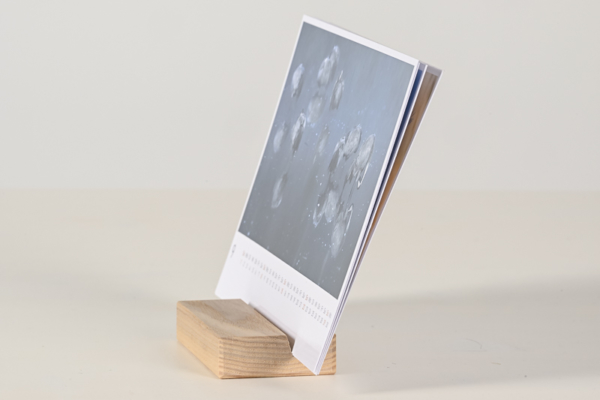 naturbilder 2024 - Postkartenkalender mit Fuß – Bild 23