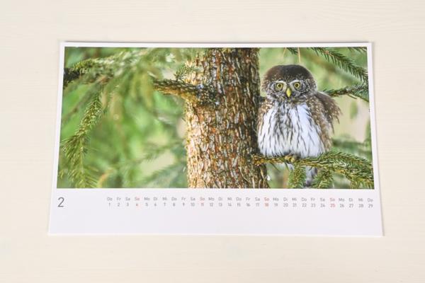naturbilder 2024 - Postkartenkalender mit Fuß – Bild 26