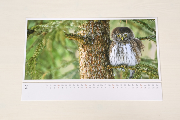 naturbilder 2024 - Postkartenkalender mit Fuß – Bild 27