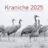 Kraniche 2025 - DIN A3 – Bild 2