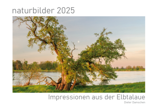 naturbilder 2025 - Impressionen aus der Elbtalaue – Bild 2