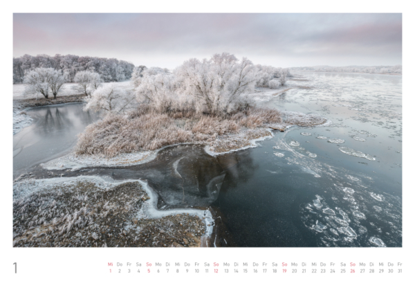 naturbilder 2025 - Impressionen aus der Elbtalaue – Bild 4