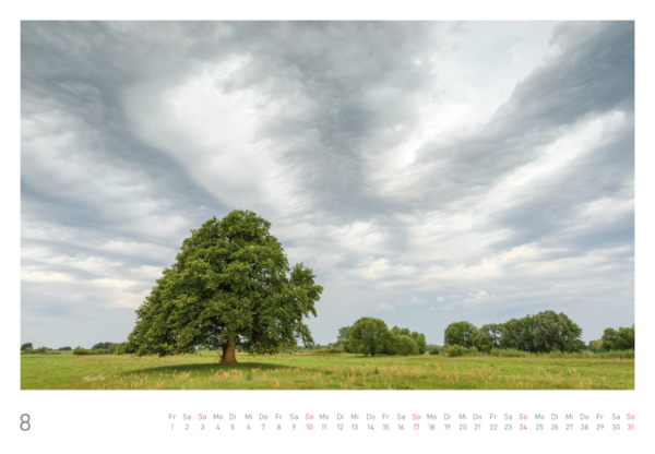 naturbilder 2025 - Impressionen aus der Elbtalaue – Bild 18