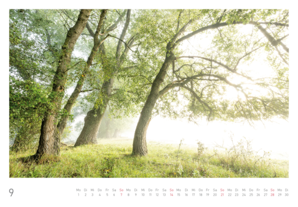 naturbilder 2025 - Impressionen aus der Elbtalaue – Bild 20