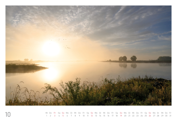 naturbilder 2025 - Impressionen aus der Elbtalaue – Bild 22