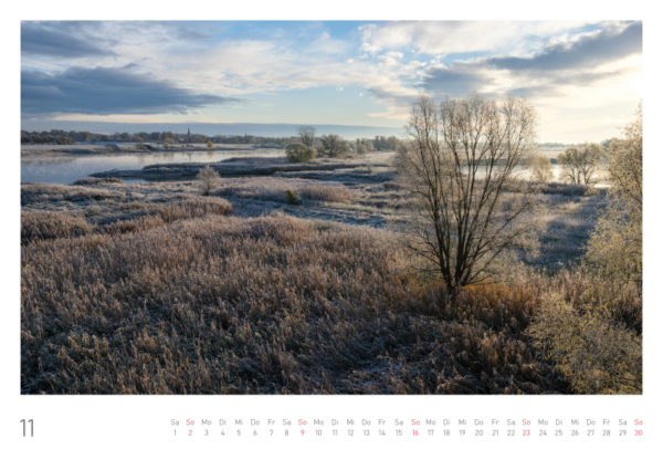 naturbilder 2025 - Impressionen aus der Elbtalaue – Bild 24