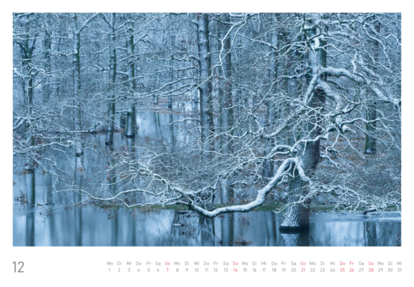 naturbilder 2025 - Impressionen aus der Elbtalaue – Bild 26