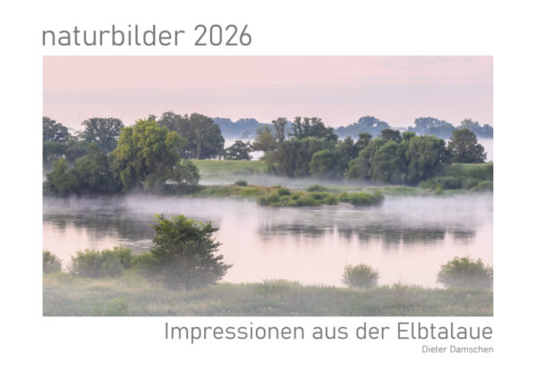naturbilder 2026 - Impressionen aus der Elbtalaue – Bild 2