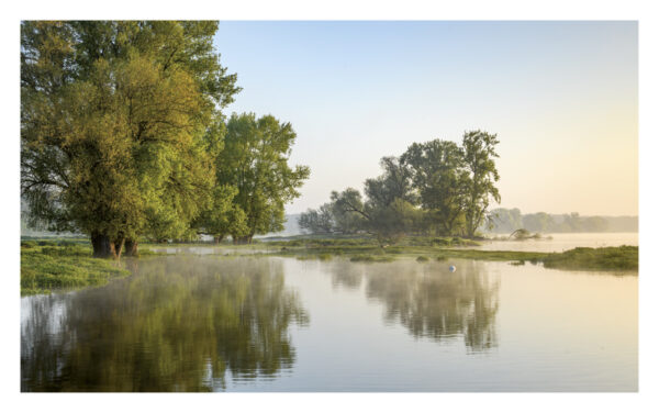 naturbilder 2026 - Impressionen aus der Elbtalaue – Bild 11