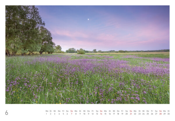 naturbilder 2026 - Impressionen aus der Elbtalaue – Bild 14
