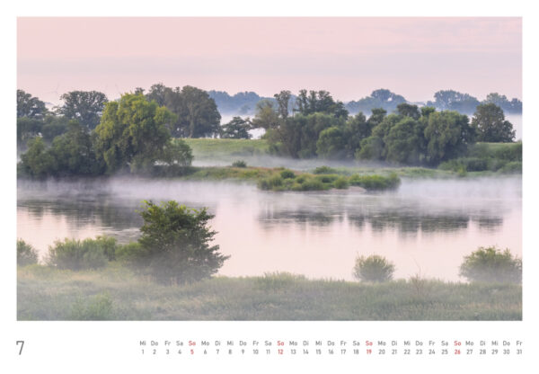 naturbilder 2026 - Impressionen aus der Elbtalaue – Bild 16