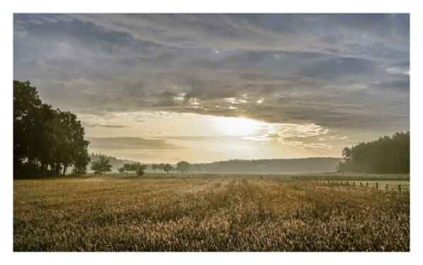 naturbilder 2026 - Impressionen aus der Elbtalaue – Bild 19