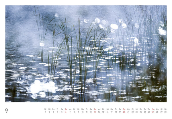 naturbilder 2026 - Impressionen aus der Elbtalaue – Bild 20