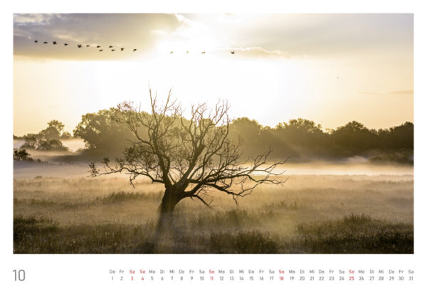 naturbilder 2026 - Impressionen aus der Elbtalaue – Bild 22