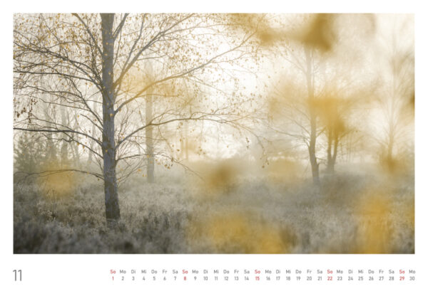 naturbilder 2026 - Impressionen aus der Elbtalaue – Bild 24