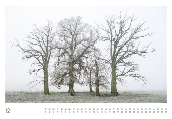 naturbilder 2026 - Impressionen aus der Elbtalaue – Bild 26