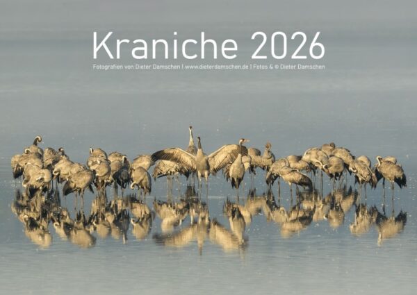 Kraniche 2026 - DIN A3 – Bild 2