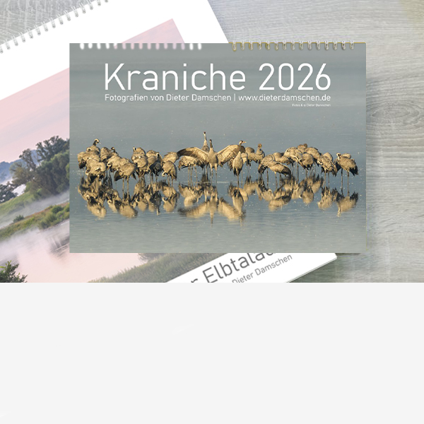 Kalender